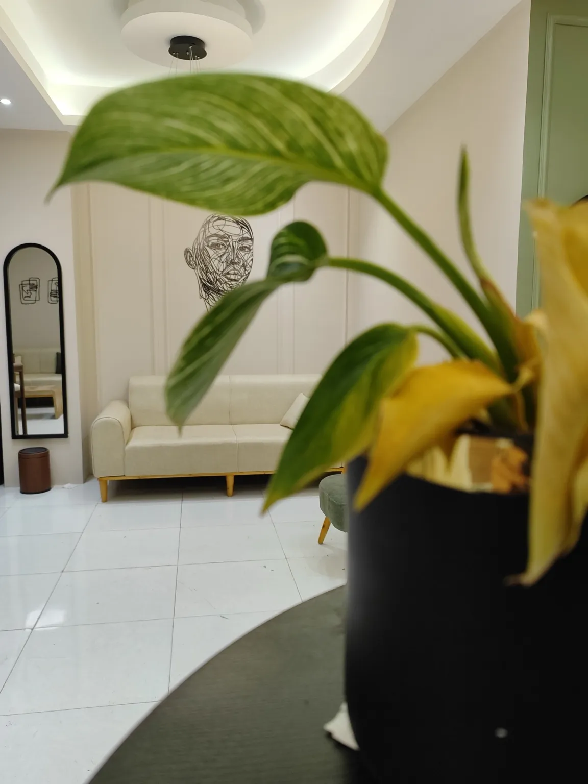 فضای انتظار کلینیک زیبایی دکتر سعید قزلباش